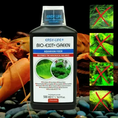 Algexit BIO - Anti Algue Verte Safe Crevettes - 500ml - EASY LIFE Le Crevettilus