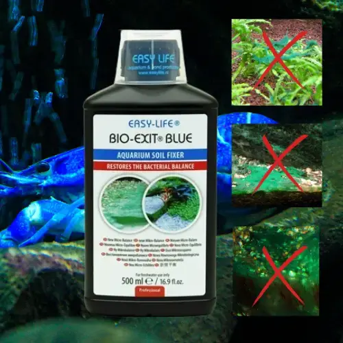 Blue Exit BIO - Anti-Algue Bleu Cyanobactérie - 500ml - EASY LIFE Le Crevettilus