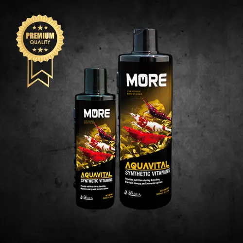 Aquavital BLK - Vitamines Vitalité Crevettes 250mL - SL AQUA Le Crevettilus