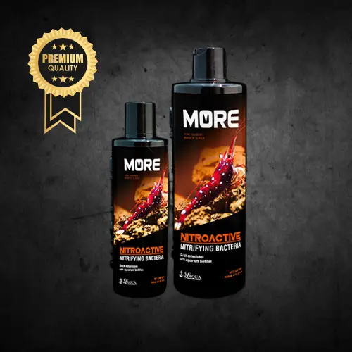 Nitroactive BLK - Bactéries Crevettes Sulawesi 250mL - SL AQUA Le Crevettilus