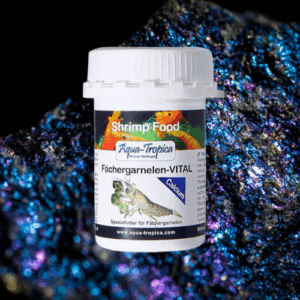 Bleu Gabon & Bambou VITAL – Calcium sp Mue – AQUA-TROPICA
